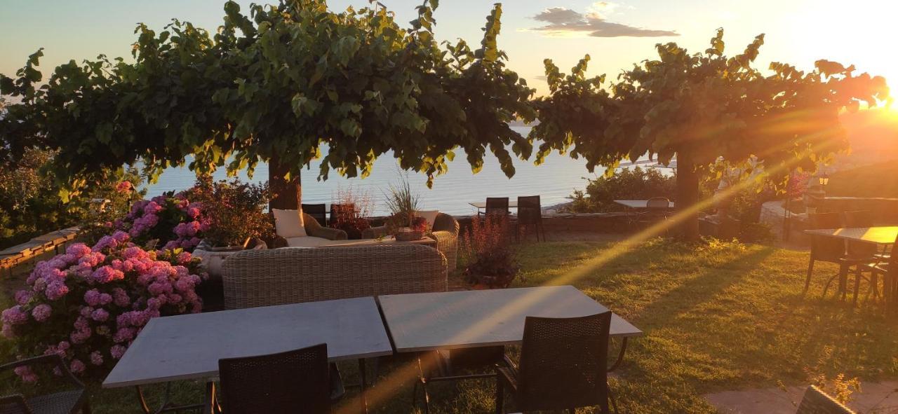 Olivenere Agriturismo Lavagna Zewnętrze zdjęcie