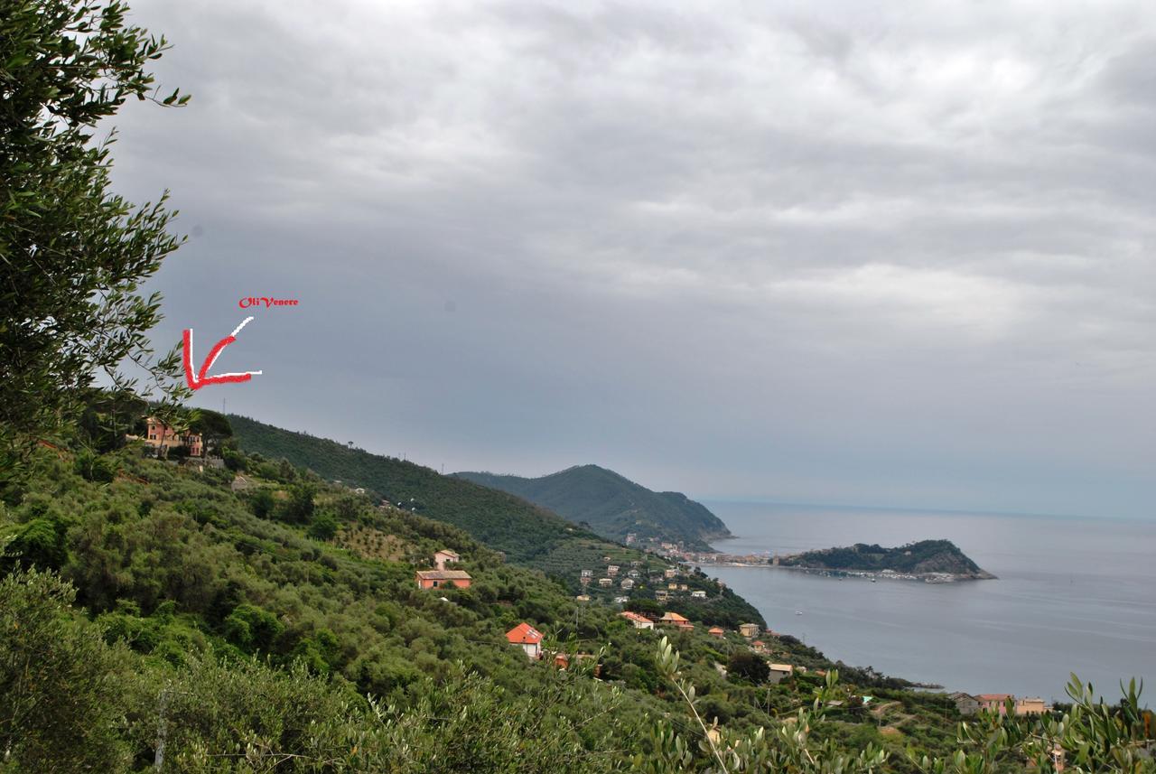 Olivenere Agriturismo Lavagna Zewnętrze zdjęcie